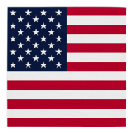 Servetten USA - Amerika - Landen Decoratie - 20 stuks