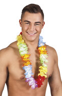 Hawaii krans regenboog