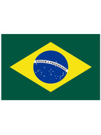 Braziliaanse vlag