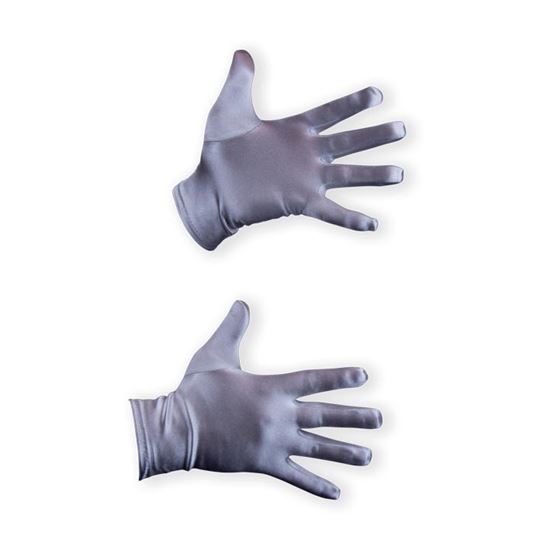 Handschoenen zilver
