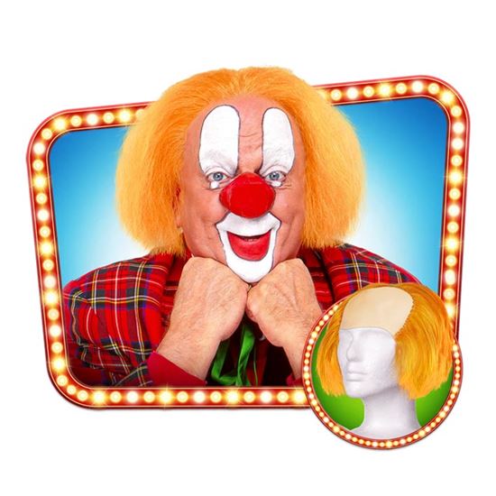 Clownspruik bassie