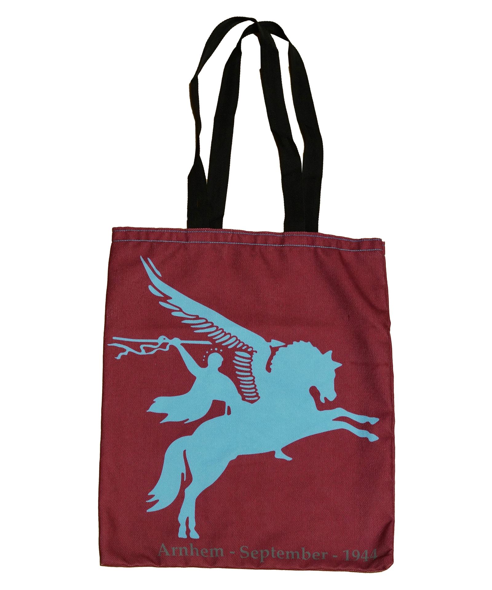 Tas Airborne Pegasus