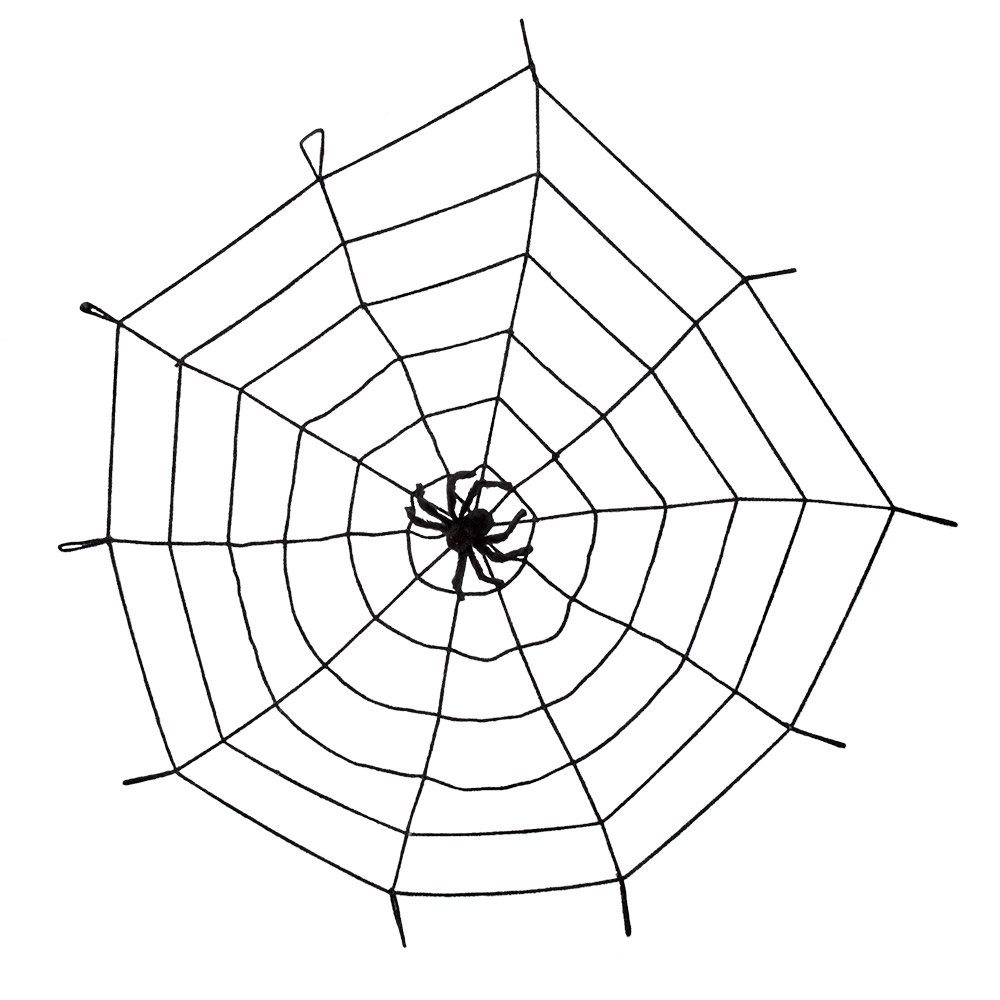 Spinnenweb Met Spin - 150 cm