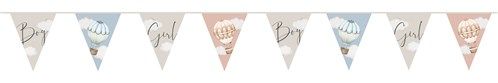Vlaggenlijn - Baby Balloons - Gender Reveal - 6 meter