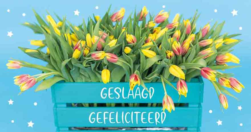 Wenskaart Geslaagd - Geslaagd Gefeliciteerd - met Envelop