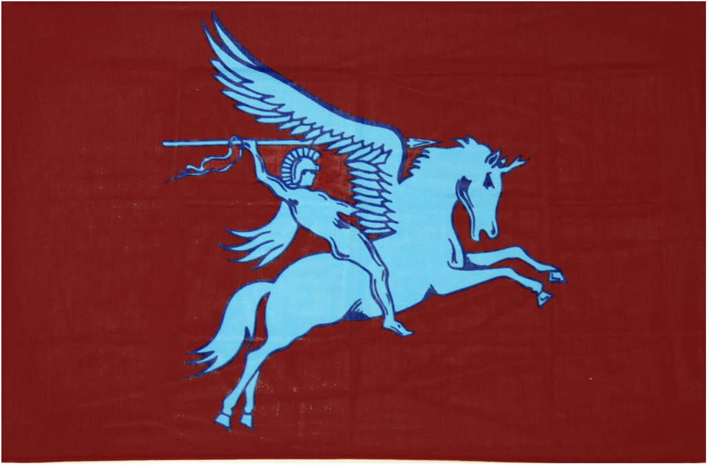 Airborne - Vlag Pegasus - 200 x 300 cm