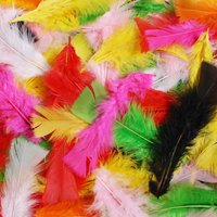 Veertjes gemixte kleuren 100 stuks