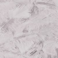 Veertjes wit 100 stuks