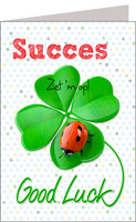 Wenskaart Succes Good Luck - XL Kaart Wenskaart Succes Good Luck - XL Kaart