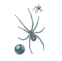 Plak Tattoo - Prison Black Widow