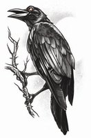 Plak Tattoo - Goth The Raven