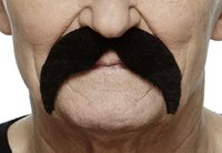 Snor Wally - Zwart Imitatiebont - Zelfklevend