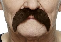 Snor Wally - Bruin Imitatiebont - Zelfklevend