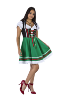 Dirndl Jurk Oktoberfest - Zwart-Groen - 2-delig - Dames Dirndl Jurk Oktoberfest - Zwart-Groen - 2-delig - Dames