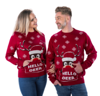 Foute Kersttrui Rudolph Hello Deer