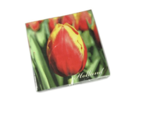 Servetten Tulpen Holland