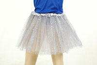  Rokje Tule Glitter Zilver - Kinderen