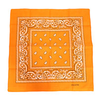 Zakdoek Oranje Met Motief Zakdoek Oranje Met Motief