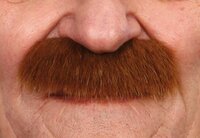 Snor Mustafa - Bruin Imitatiebont - Zelfklevend