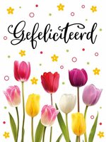 Verjaardagskaart XL - Gefeliciteerd Tulpen - Met Envelop Verjaardagskaart XL - Gefeliciteerd Tulpen - Met Envelop