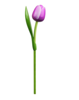 Souvenir - Tulp op Steel - Hout - Paars-Wit