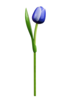 Souvenir - Tulp op Steel - Hout - Blauw-Wit