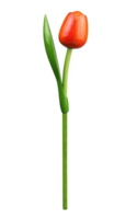 Souvenir - Tulp op Steel - Hout - Oranje-Rood
