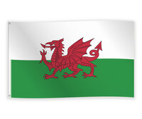 Vlag Wales - Landen Decoratie Vlag - 90 x 150 cm Vlag Wales - Landen Decoratie Vlag - 90 x 150 cm