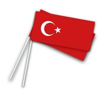 Zwaaivlaggetje Papier Turkije - 50 stuks Zwaaivlaggetje Papier Turkije - 50 stuks