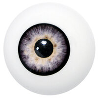 Grimas Nep Oog Grijs - Kunststof Oog Grimas Nep Oog Grijs - Kunststof Oog