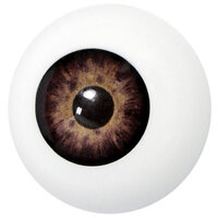 Grimas Nep Oog Bruin - Kunststof Oog Grimas Nep Oog Bruin - Kunststof Oog
