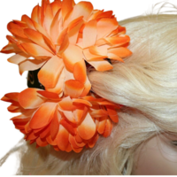 Haarklem Bloem Oranje Haarklem Bloem Oranje