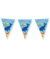 Vlaggenlijn Gefeliciteerd Zwemdiploma - 10 meter