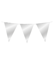 Vlaggenlijn - Zilver - 10 meter