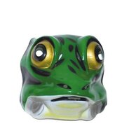 Dieren Masker - Kikker Groen - Plastic - Volwassenen