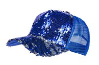 Pet Pailletten Blauw - Volwassenen Pet Pailletten Blauw - Volwassenen