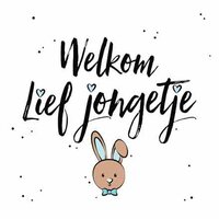 Wenskaart Geboorte - Welkom Lief Jongetje - Met Envelop