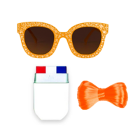 Dames Oranje Accessoires Feestpakket - Koningsdag Pakket Dames Oranje Accessoires Feestpakket - Koningsdag Pakket