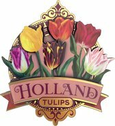 Koelkastmagneet - Magneet Holland MDF - Pretty Tulips Holland Roze