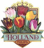 Koelkastmagneet - Magneet Holland MDF - Pretty Tulips Holland Groen