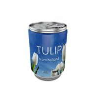 Tulpenbol In Blik - Wit