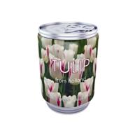 Tulpenbol In Blik - Paars-Wit