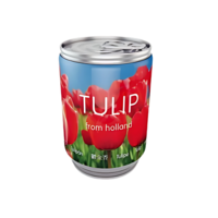 Tulpenbol In Blik - Rood