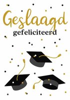 Wenskaart Geslaagd - Gefeliciteerd Afstudeer Hoedjes - met Envelop