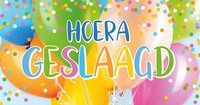 Wenskaart Geslaagd - Hoera Ballonnen en Confetti - met Envelop
