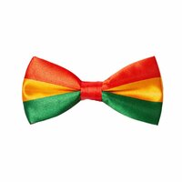 Vlinderstrikje - Carnaval - Rood-Geel-Groen - Verstelbaar