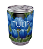 Tulpenbol In Blik - Blauw