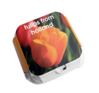 Tulpenbollen - Oranje - 4 stuks