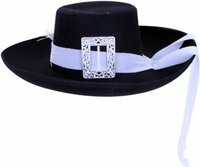 Musketierhoed - Zwart met Band en Veer - Volwassenen