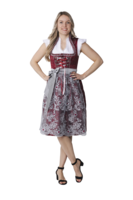 Dirndl Jurkje - Jacquard met Parel Schort - Donkerrood-Grijs - Dames